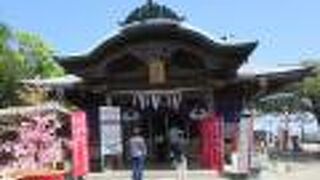 福岡の方にはなじみのある神社です。博多湾の景色がきれいです。