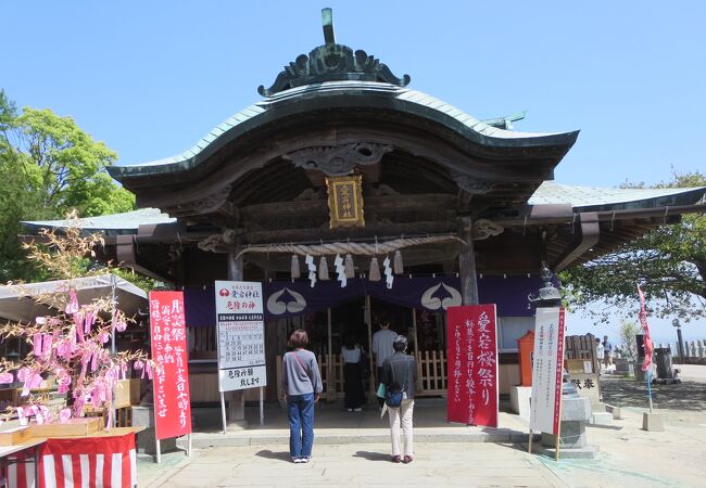 福岡の方にはなじみのある神社です。博多湾の景色がきれいです。