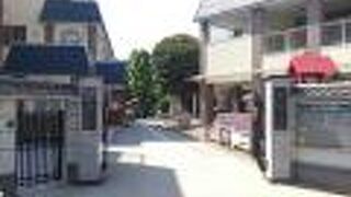 境内には色々な石碑が立っています