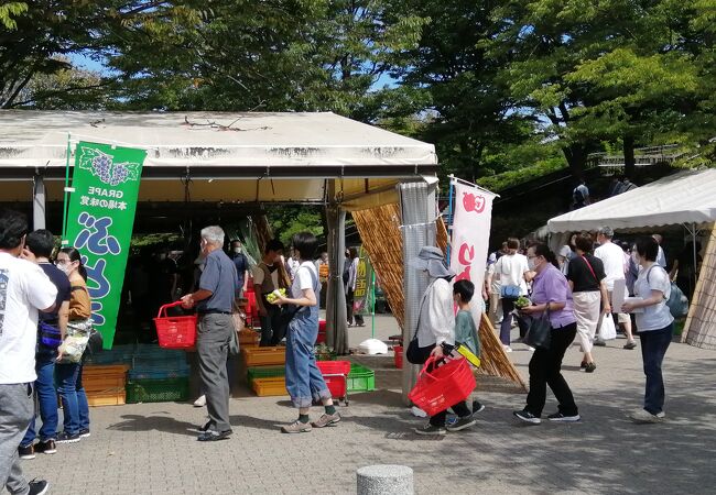 ハイウェイオアシス 小布施総合公園