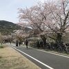 桂川サイクリングロード