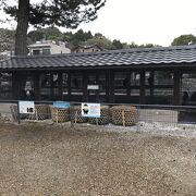 鵜飼用の鵜を飼育されている小屋