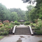 新宿区にある広大な都立公園