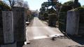 庭木がよく手入れされていた寺院