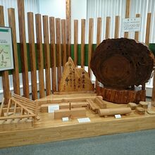 屋久杉の展示