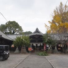 桜岡神社