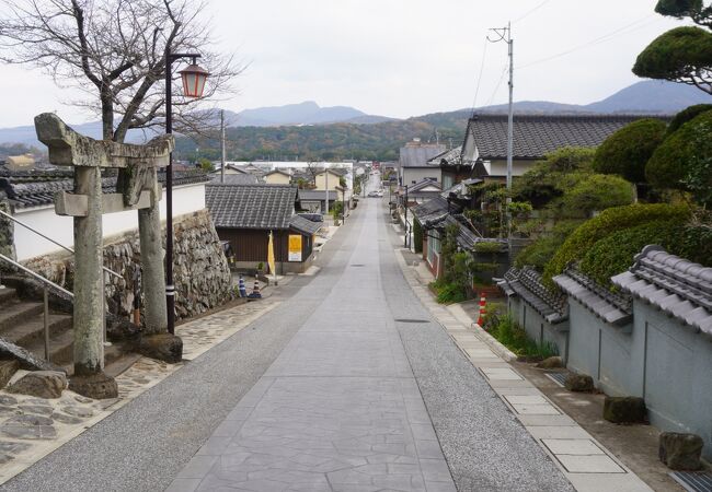 特別な道であるという雰囲気がむんむん