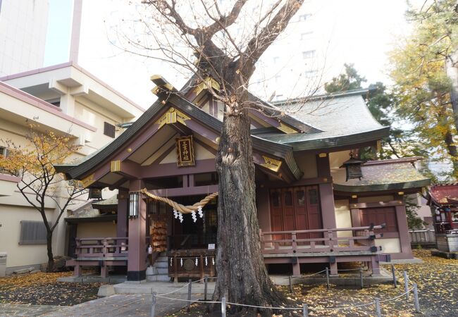 きちんと整ったうえでの煌びやかさを感じます