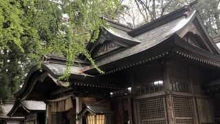 やっと貰った御朱印