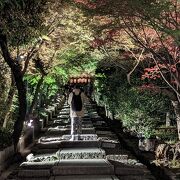 ねねの道から見る高台寺の階段は、奥にぽぅっと提灯の薄明りが見えます。