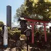 赤い鳥居と祠