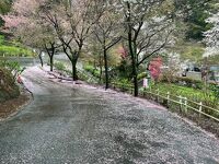 あつぎ飯山桜まつり