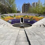 斜面が季節の花々で覆われています