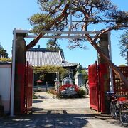 本堂や境内に特徴が感じられる寺院