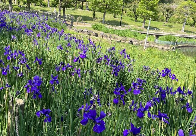 四季の里公園