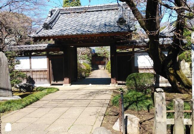 木々が豊かな寺院