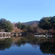 鷺池に浮かぶ六角形