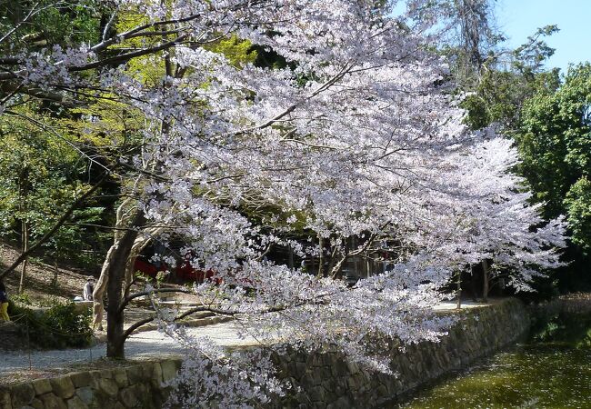 京都市の理美容業界関係者によって創建された神社