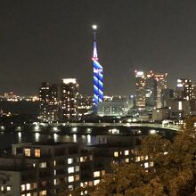愛宕神社から見る博多タワー