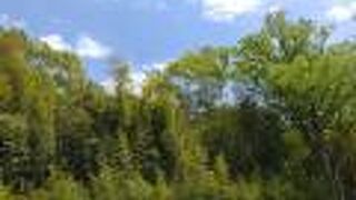 岡田記念館翁島別邸