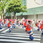 ゴールデンウィークのイベントです