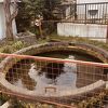透き通った水