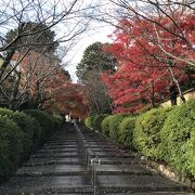 紅葉は参道だけでしたがきれい