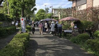 大盆栽まつり