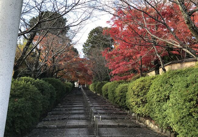 紅葉は参道だけでしたがきれい