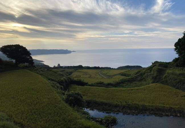 東後畑棚田