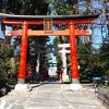 赤い鳥居が鮮やかな神社