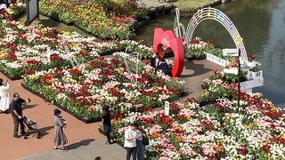 とっても綺麗でした