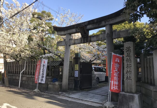 鳥居近くにソメイヨシノとオオシマザクラ