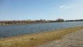 美しい水辺の風景