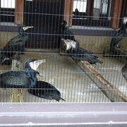 錦帯橋の造りを学べる公園