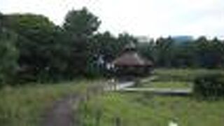 海浜自然生態園