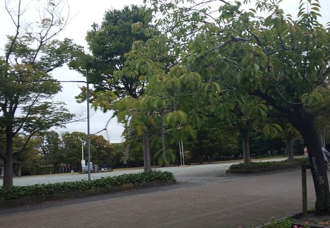 中央公園