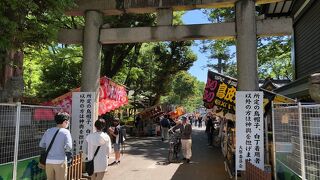 昼からでも楽しめる