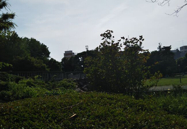 相模大野中央公園