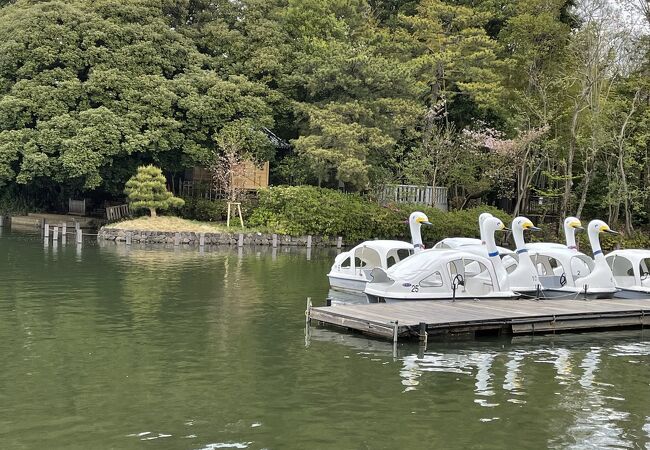 スワンボートに乗れる公園