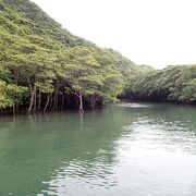 困った時の浦内川観光