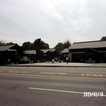 全体の様子です。