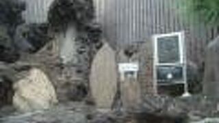 トビーの墓は大湯間歇泉のとなり