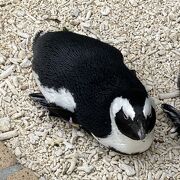 海の中道にある水族館