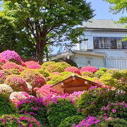 つつじの名所で知られる神社