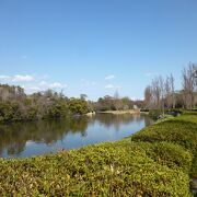 水辺の気持ちの良い公園