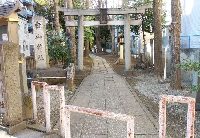 猫の石像を探してみるのも面白い神社