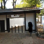 自然環境が豊かな公園