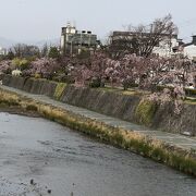 鴨川沿いの散策路。