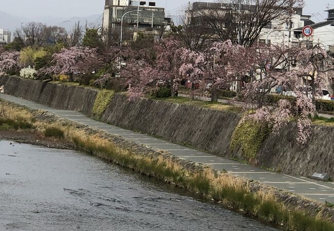 花の回廊